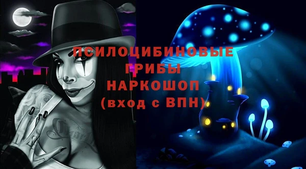 бошки Аркадак