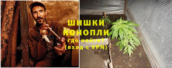 бошки Аркадак