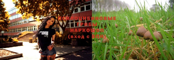 тгк Армянск