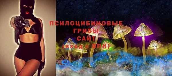 соль ск Балахна