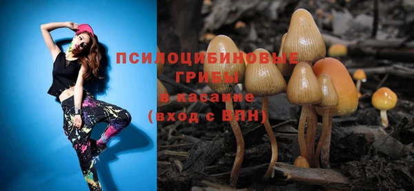 тгк Армянск