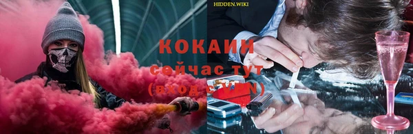 бошки Аркадак