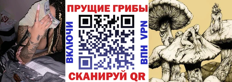 Галлюциногенные грибы мухоморы  наркотики  Городовиковск 